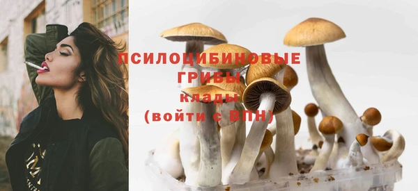 мескалин Гусиноозёрск